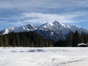 Winterliche Landschaft mit schneebedeckten Berge im Hintergrund